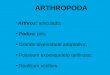 ARTHROPODA Arthros: articulado; Podos: pés; Grande diversidade adaptativa; Possuem exoesqueleto quitinoso; Realizam ecdises
