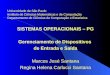 SISTEMAS OPERACIONAIS – PG Gerenciamento de Dispositivos de Entrada e Saída Marcos José Santana Regina Helena Carlucci Santana Universidade de São Paulo