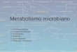 Metabolismo microbiano 1.Conceitos básicos 2.Classes microbianas 3.Quimiotrofia 4.Fototrofia 5.Quimiolitotrofia 6.Integração metabólica