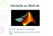Iniciação ao MatLab Prof a Dr a. Rossana Lott Rodrigues PPE - Departamento de Economia / UEL - 2009