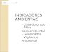 INDICADORES AMBIENTAIS - Lista do grupo - Atlas Socioambiental - Geocidades - Vigilância Ambiental