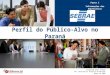 Perfil do Público-Alvo no Paraná Elaborado para: Sebrae Por: Diferencial Pesquisa de Mercado Março de 2008 Parte I Informações dos Empresários