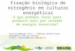 Fixação biológica de nitrogênio em culturas energéticas O que podemos fazer para produzir mais por unidade de energia investida? Veronica Massena Reis