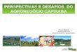 PERSPECTIVAS E DESAFIOS DO AGRONEGÓCIO CAPIXABA Gilmar Dadalto Subsecretário de Desenvolvimento Agropecuário OPORTUNIDADES E DESAFIOS OPORTUNI DADGGES