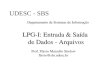 UDESC - SBS Departamento de Sistemas de Informação LPG-I: Entrada & Saída de Dados - Arquivos Prof. Flavio Marcello Strelow flavio@sbs.udesc.br