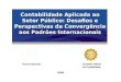 Contabilidade Aplicada ao Setor Público: Desafios e Perspectivas da Convergência aos Padrões Internacionais 2008 Tesouro NacionalConselho Federal de Contabilidade