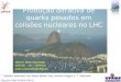 11 Produção difrativa de quarks pesados em colisões nucleares no LHC * Mairon Melo Machado GFPAE – IF – UFRGS melo.machado@ufrgs.br * Trabalho realizado