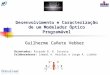 Desenvolvimento e Caracterização de um Modelador Óptico Programável Guilherme Cañete Vebber Orientador: Ricardo R. B. Correia Colaboradores: Ismael A