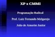 XP x CMMI Programação Radical Prof. Luiz Fernando Melgarejo João de Amorim Junior