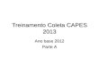 Treinamento Coleta CAPES 2013 Ano base 2012 Parte A