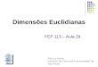 FEP 113 – Aula 2b Dimensões Euclidianas Marcus Raele Instituto de Física da Universidade de São Paulo