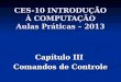 CES-10 INTRODUÇÃO À COMPUTAÇÃO Aulas Práticas – 2013 Capítulo III Comandos de Controle