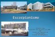 Escorpionismo Palmira Cupo Hospital das Clínicas da FMRP-USP Centro de Controle de Intoxicações Unidade de Emergência