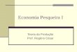Economia Pesqueira I Teoria da Produção Prof. Rogério César