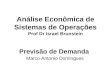 Análise Econômica de Sistemas de Operações Prof Dr Israel Brunstein Previsão de Demanda Marco Antonio Domingues