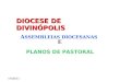 17/06/11 DIOCESE DE DIVINÓPOLIS A SSEMBLEIAS DIOCESANAS E PLANOS DE PASTORAL