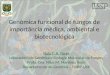 Genômica funcional de fungos de importância médica, ambiental e biotecnológica Nalu T. A. Peres Laboratório de Genética e Biologia Molecular de Fungos