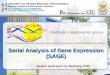 Serial Analysis of Gene Expression (SAGE) Greice Andreotti De Molfetta, PhD