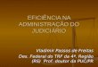 EFICIÊNCIA NA ADMINISTRAÇÃO DO JUDICIÁRIO Vladimir Passos de Freitas Des. Federal do TRF da 4ª. Região (RS) Prof. doutor da PUC/PR