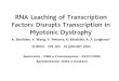 Seminário – DNA e Cromossomos - 02/07/2004 Apresentação: Gilka e Gustavo