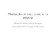Obstrução do trato urinário na infância Marcelo Marcondes Stegani Disciplina de Cirurgia Pediátrica