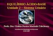 EQUILÍBRIO ÁCIDO-BASE Unidade 2 – Sistema Urinário Faculdade de Odontologia de Piracicaba UNICAMP Profa. Dra. Cínthia Pereira Machado Tabchoury