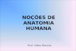 NOÇÕES DE ANATOMIA HUMANA Prof. Fábio Moreira. Anatomia Ciência que estuda a estrutura macroscópica e microscópica do corpo dos seres vivos