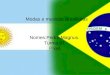Modas e musicas Brasileiras Nomes:Pedro Magnus. Turma:81 Pixel