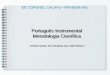 EE CORONEL CALHAU –IPANEMA-MG EE CORONEL CALHAU –IPANEMA-MG Português Instrumental Metodologia Científica ESTRUTURA DO TRABALHO CIENTÍFICO