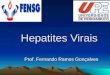 Hepatites Virais Prof. Fernando Ramos Gonçalves. Hepatite = distúrbio inflamatório do fígado Fonte: 