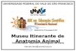 UNIVERSIDADE FEDERAL DO VALE DO SÃO FRANCISCO Museu Itinerante de Anatomia Animal Coordenador: Marcelo Domingues de Faria marcelo.faria@univasf.edu.br