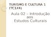 TURISMO E CULTURA 1 (TC1X4) Aula 02 – Introdução aos Estudos Culturais