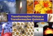 Ciências Físico – Químicas 2008/2009 Transformações Físicas e Transformações Químicas