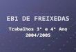EB1 DE FREIXEDAS Trabalhos 3º e 4º Ano 2004/2005