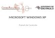 MICROSOFT WINDOWS XP Painel de Controle. FERRAMENTAS DO PAINEL DE CONTROLE