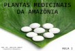 PROF. MSC. CHRISTIAN LAMEIRA Farmacêutico-Bioquímico AULA I