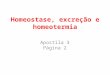 Homeostase, excreção e homeotermia Apostila 3 Página 2