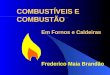 COMBUSTÍVEIS E COMBUSTÃO Em Fornos e Caldeiras Frederico Maia Brandão