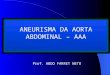 ANEURISMA DA AORTA ABDOMINAL – AAA Prof. ABDO FARRET NETO