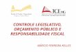 CONTROLE LEGISLATIVO, ORÇAMENTO PÚBLICO E RESPONSABILIDADE FISCAL MÁRCIO FERREIRA KELLES