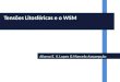 Afonso E. V. Lopes & Marcelo Assumpção Tensões Litosféricas e o WSM