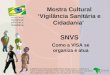 Mostra Cultural Vigilância Sanitária e Cidadania Como a VISA se organiza e atua SNVS © 2006 Escola Nacional de Saúde Pública Sergio Arouca – Ensp/Fiocruz