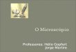 Professores: Hélio Gopfert Jorge Martire. Hooke observou cortes finos de cortiça, que se apresentavam ao microscópio com um aspecto similar a pequenos