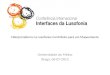 Ciberjornalismo na Lusofonia: Contributo para um Mapeamento Universidade do Minho Braga. 06-07-2013