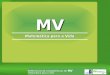 Referencial de competências de MV Matemática para a Vida MV