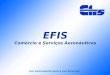 Um instrumento para a sua Empresa EFIS Comércio e Serviços Aeronáuticos