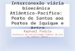 Interconexão viária bioecânica Atlântico-Pacífico: Porto de Santos aos Portos de Iquique e Arica Raphael Padula Professor da Universidade Federal do Rio