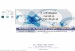 A Informação Jurídica na Era Digital Plataformas de informação jurídica e tramitação judicial eletrónica Colóquio Luso-Brasileiro | Faculdade de Direito