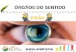 Www.andremaiabio. com.br ÓRGÃOS DO SENTIDO VISÃO