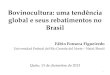 Bovinocultura: uma tendência global e seus rebatimentos no Brasil Fábio Fonseca Figueiredo Universidad Federal del Río Grande del Norte – Natal/Brasil